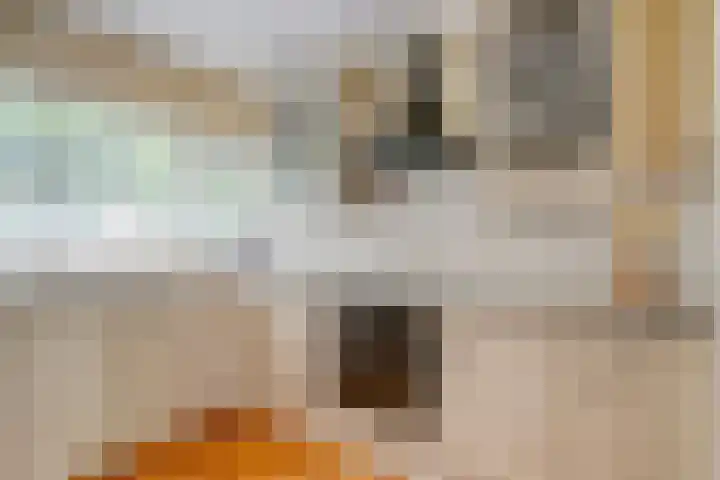 Nijhofflaan 42 Veenendaal thumbnail 9