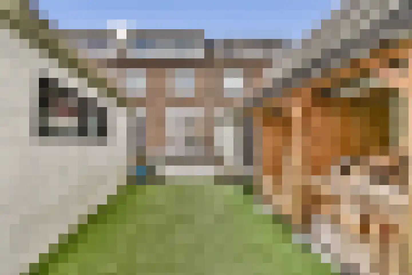 Nijhofflaan 53 Dordrecht thumbnail 17