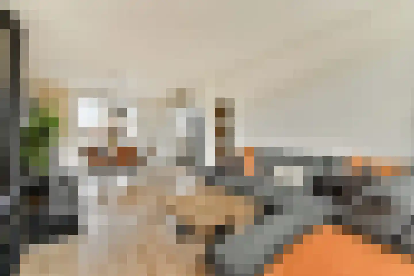 Nijhofflaan 53 Dordrecht thumbnail 5