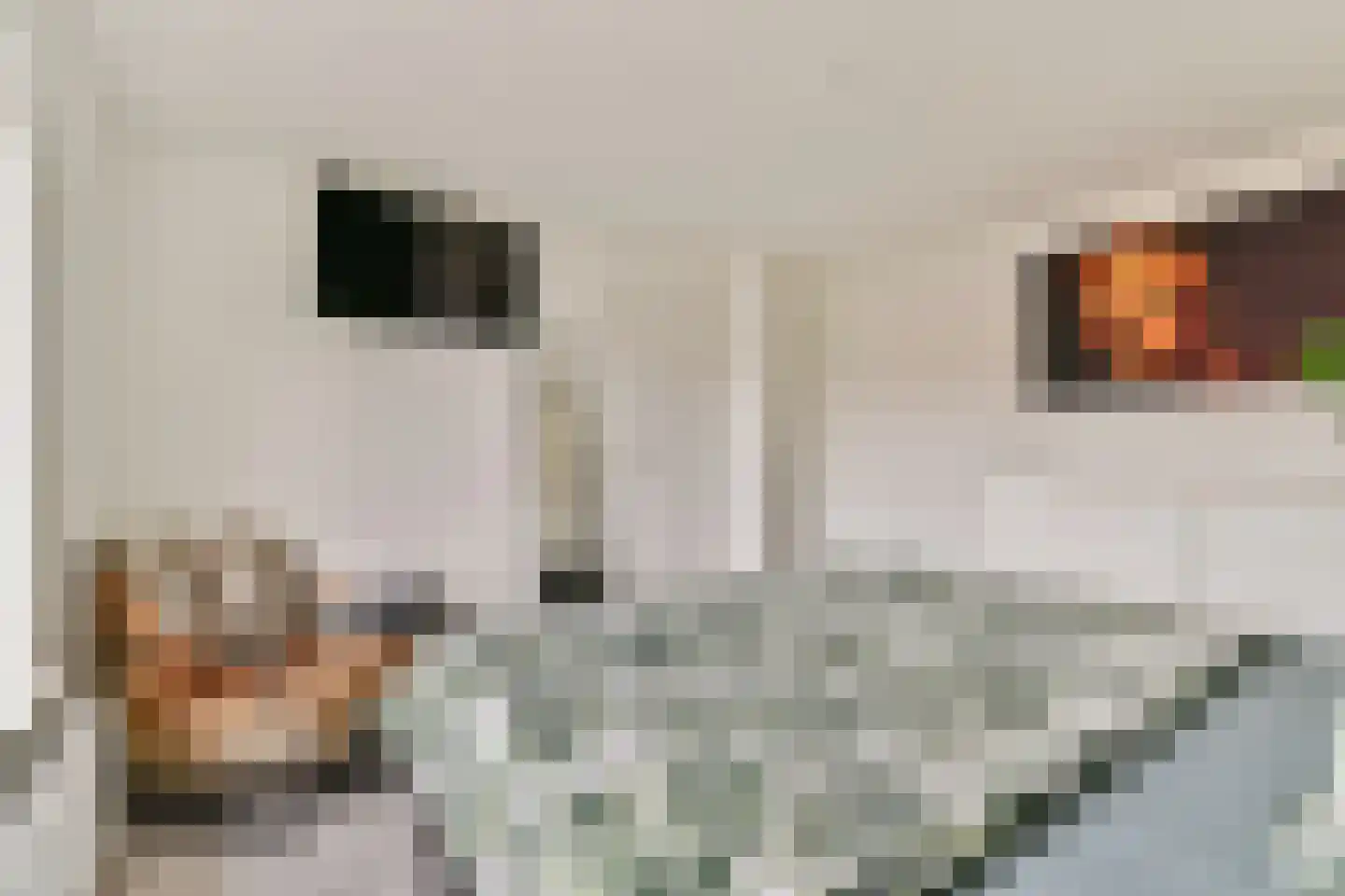 Nijhofflaan 53 Dordrecht thumbnail 8