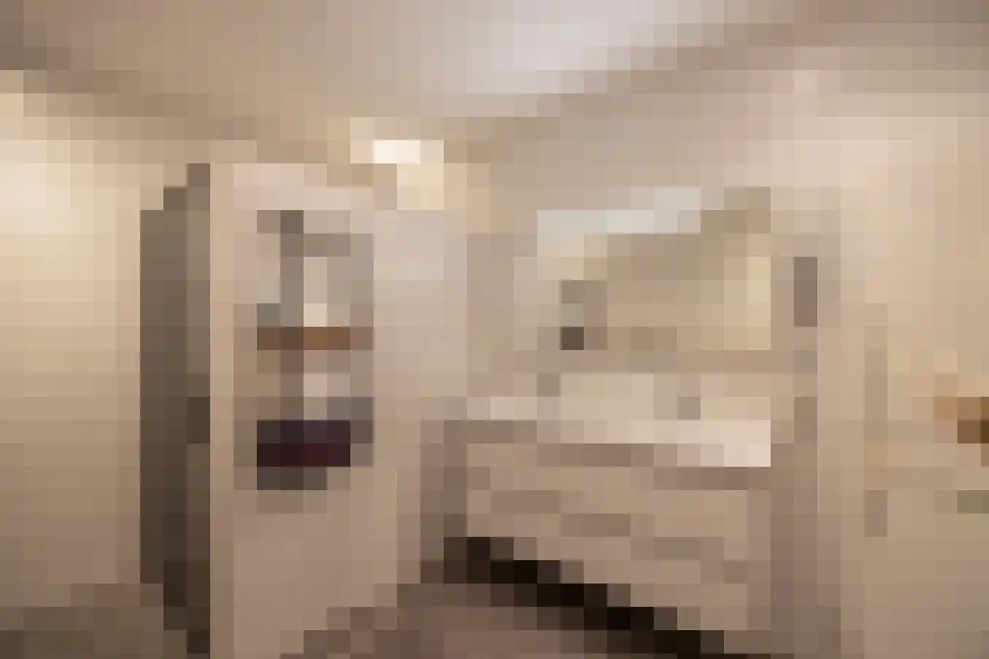 Nijhofflaan 67 Blaricum thumbnail 16
