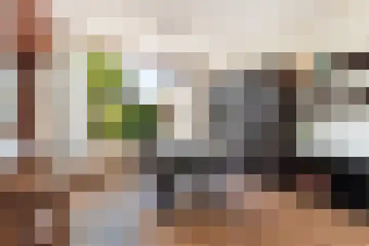 Nijhofflaan 72 Dordrecht thumbnail 14