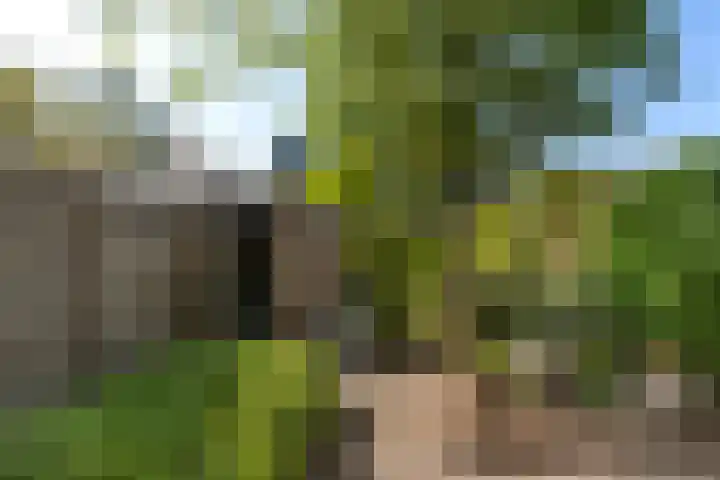 Nijhofflaan 72 Dordrecht thumbnail 29