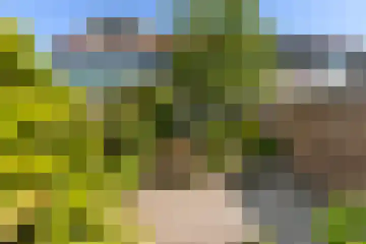 Nijhofflaan 72 Dordrecht thumbnail 32