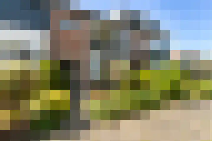 Nijhofflaan 72 Dordrecht thumbnail 4