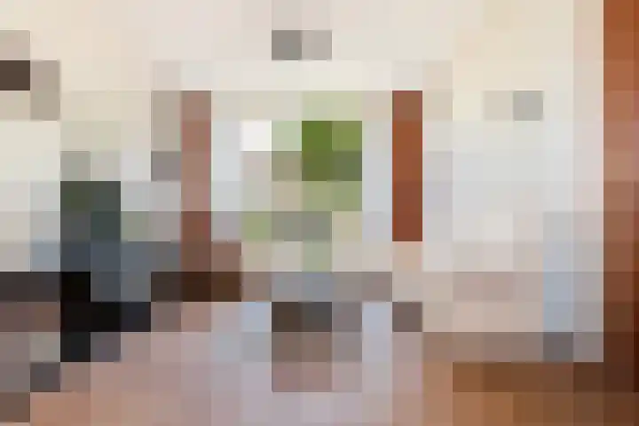 Nijhofflaan 72 Dordrecht thumbnail 9