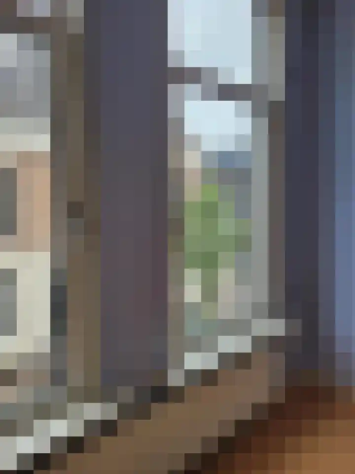 Nijhoffstraat 151 Arnhem thumbnail 19