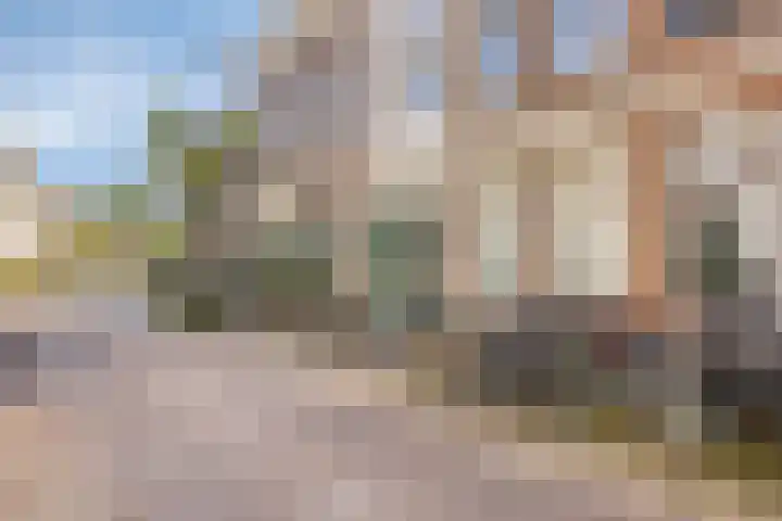 Nijhoffstraat 151 Arnhem thumbnail 5