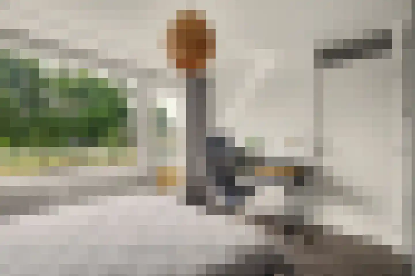 Nijhoffstraat 16 Zwijndrecht thumbnail 31