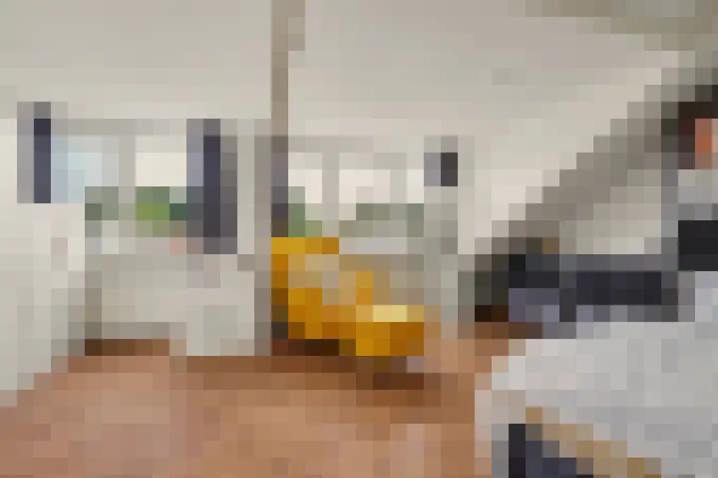 Nijhoffstraat 16 Zwijndrecht thumbnail 7