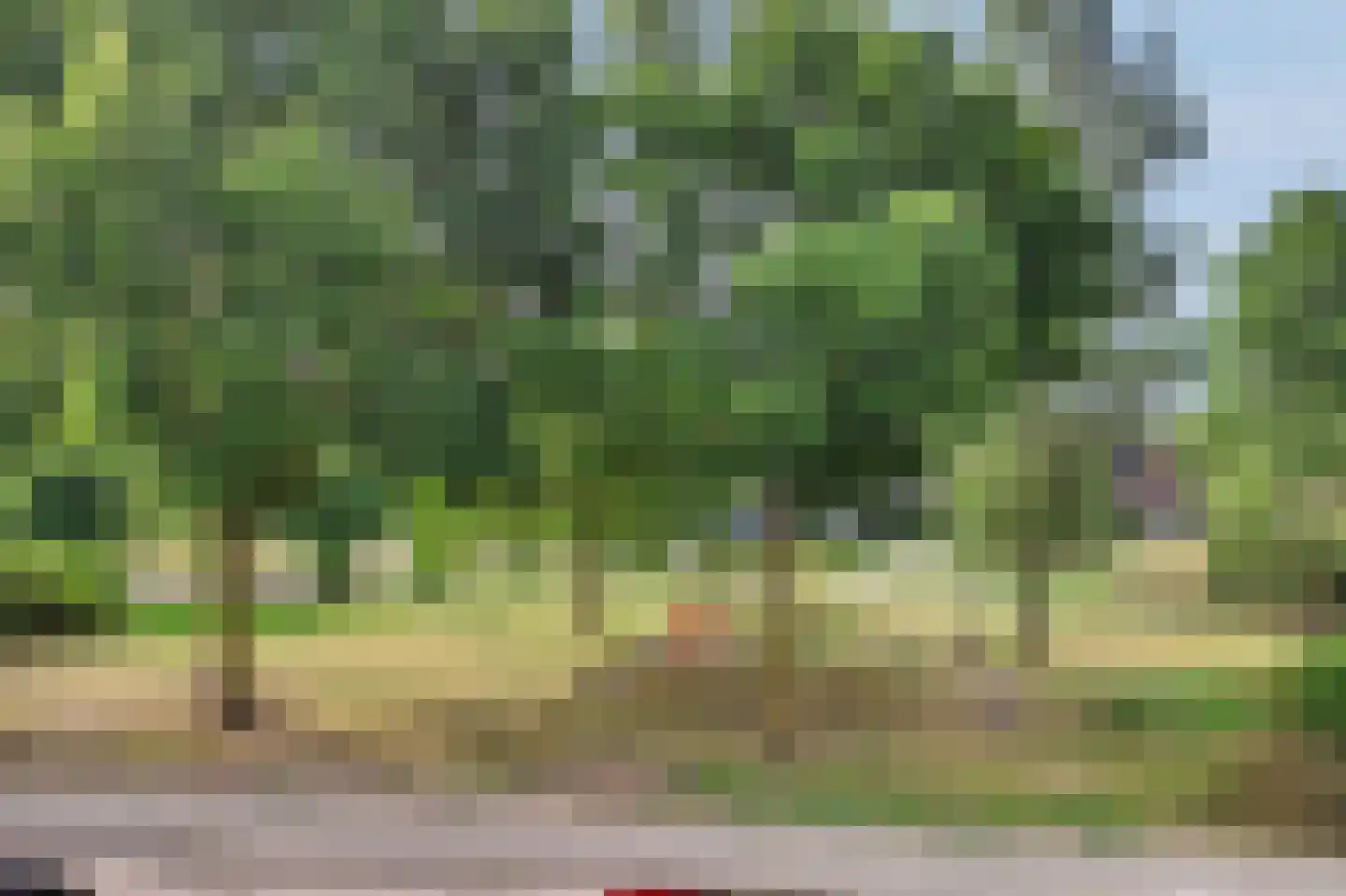 Nijhoffstraat 16 Zwijndrecht thumbnail 9