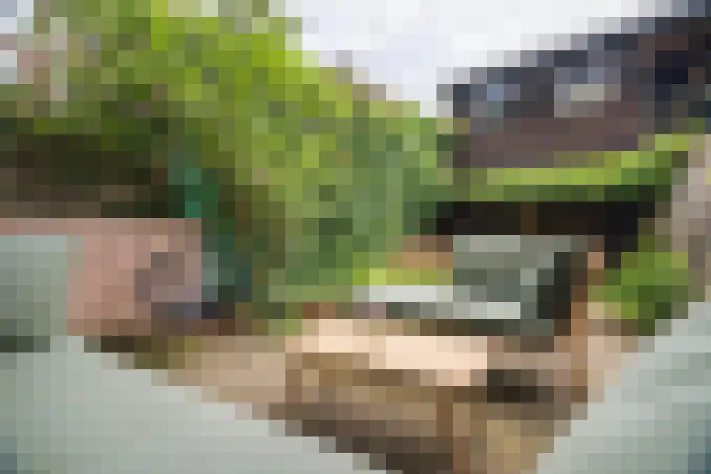 Nijhoffstraat 161 Arnhem thumbnail 6