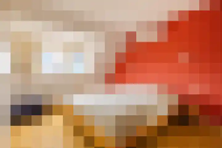 Nijhoffstraat 18 Renkum thumbnail 21