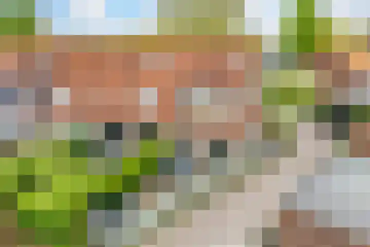 Nijhoffstraat 18 Renkum thumbnail 33