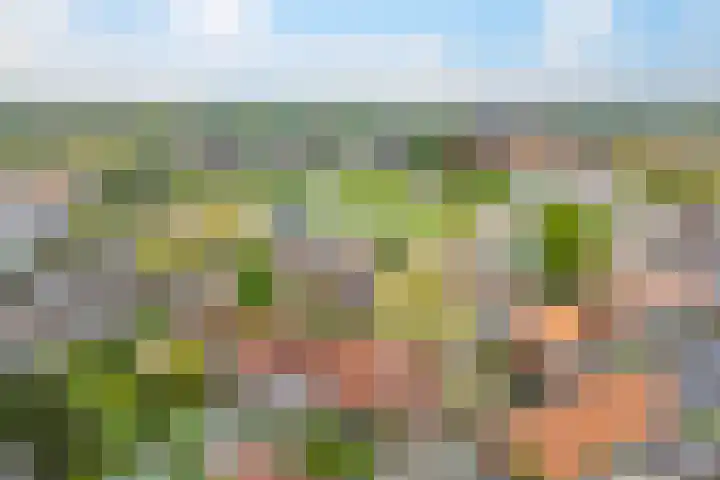 Nijhoffstraat 18 Renkum thumbnail 34