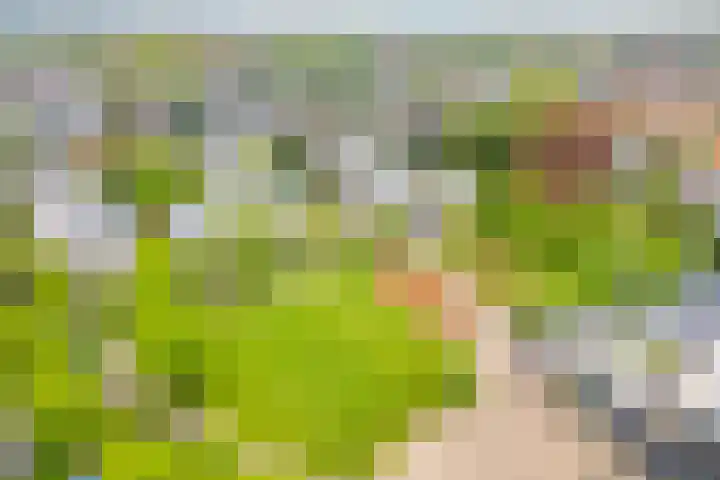 Nijhoffstraat 18 Renkum thumbnail 35