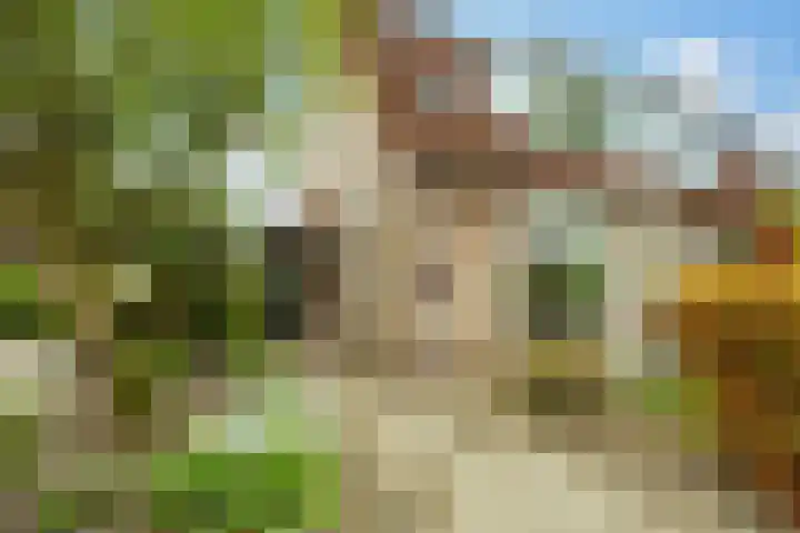 Nijhoffstraat 18 Renkum thumbnail 4