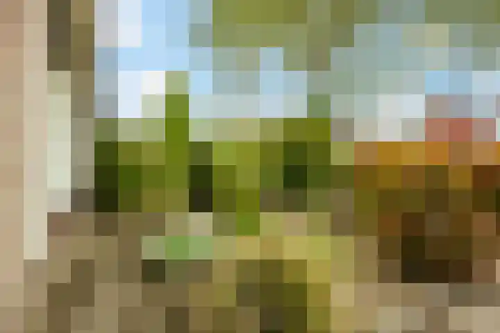 Nijhoffstraat 18 Renkum thumbnail 5