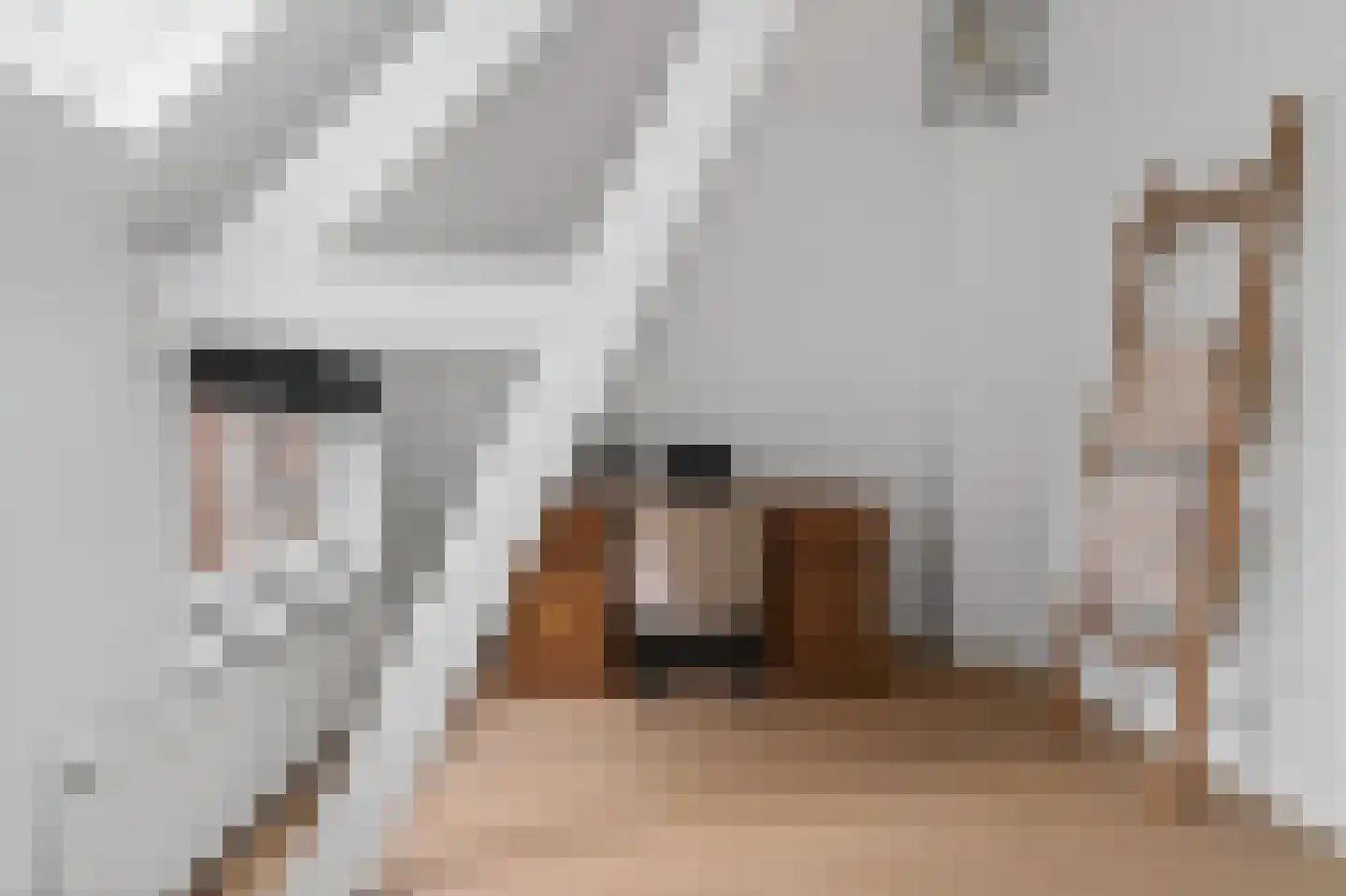 Nijhoffstraat 66 Arnhem thumbnail 20