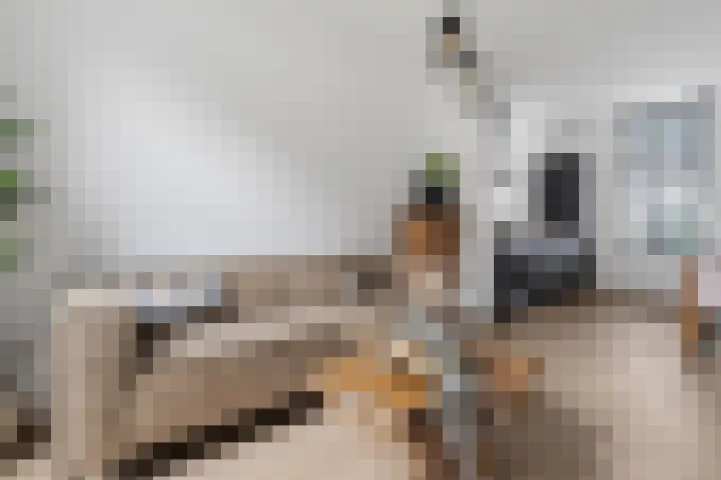 Nijhoffstraat 66 Arnhem thumbnail 6