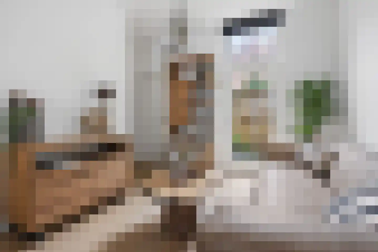 Nijhoffstraat 66 Arnhem thumbnail 7