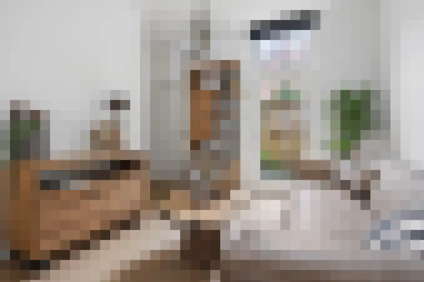 Nijhoffstraat 66 Arnhem thumbnail 7