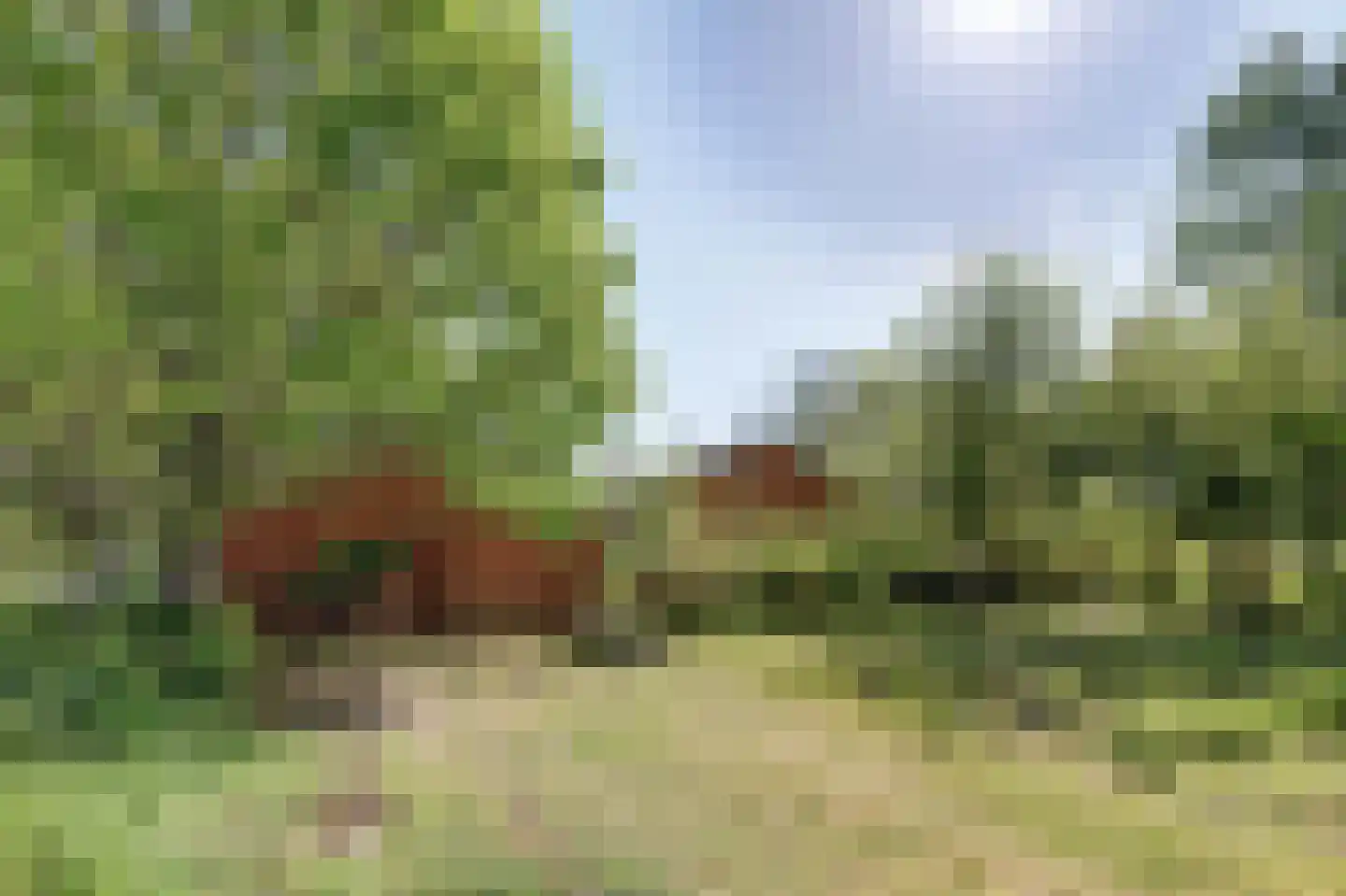 Nijhoven 1 a Baarle-Nassau thumbnail 46