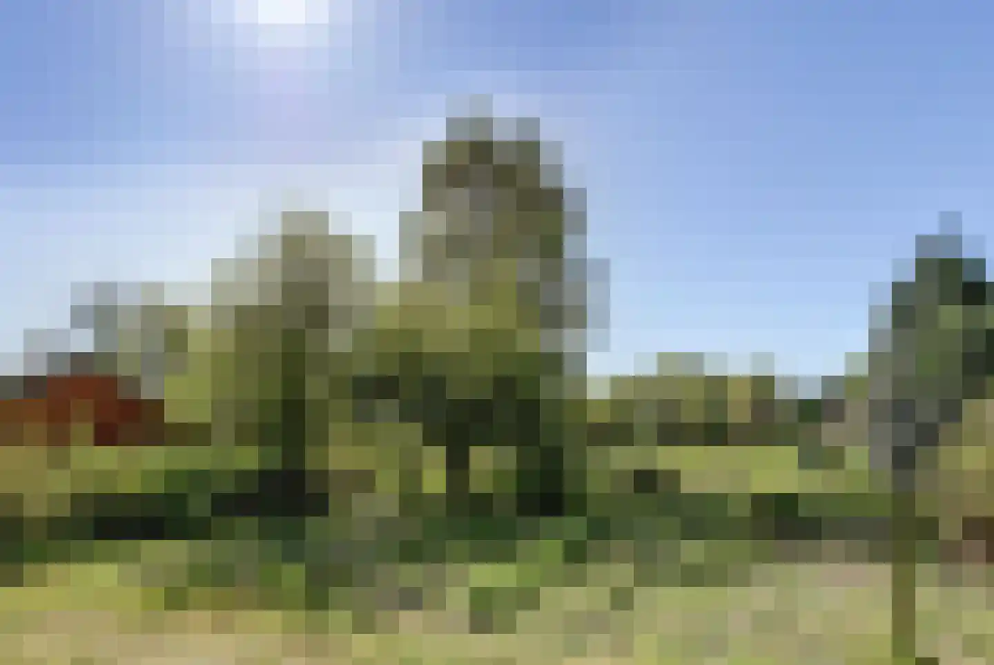 Nijhoven 1 a Baarle-Nassau thumbnail 5