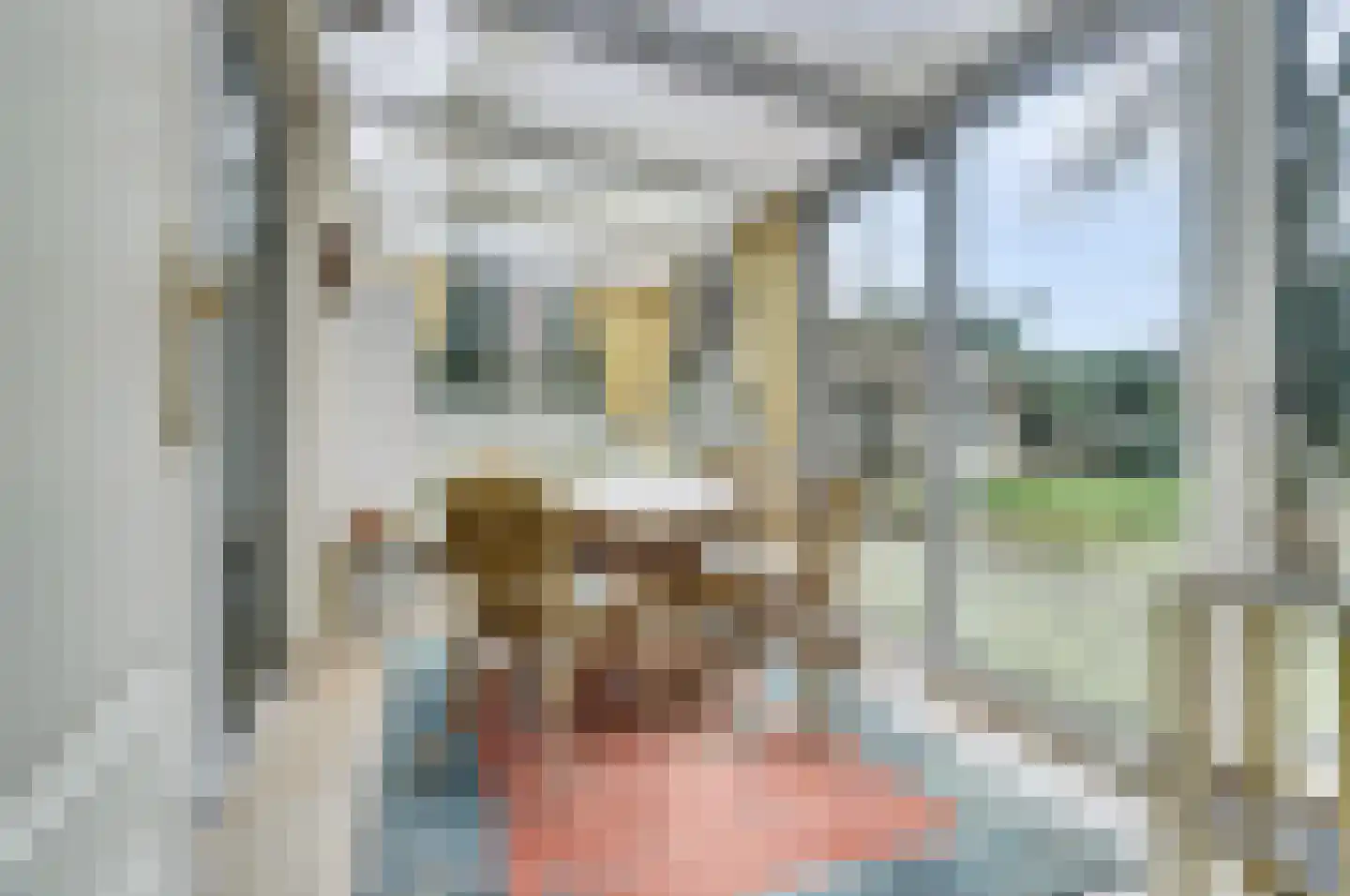 Nijhoven 3 a Baarle-Nassau thumbnail 11