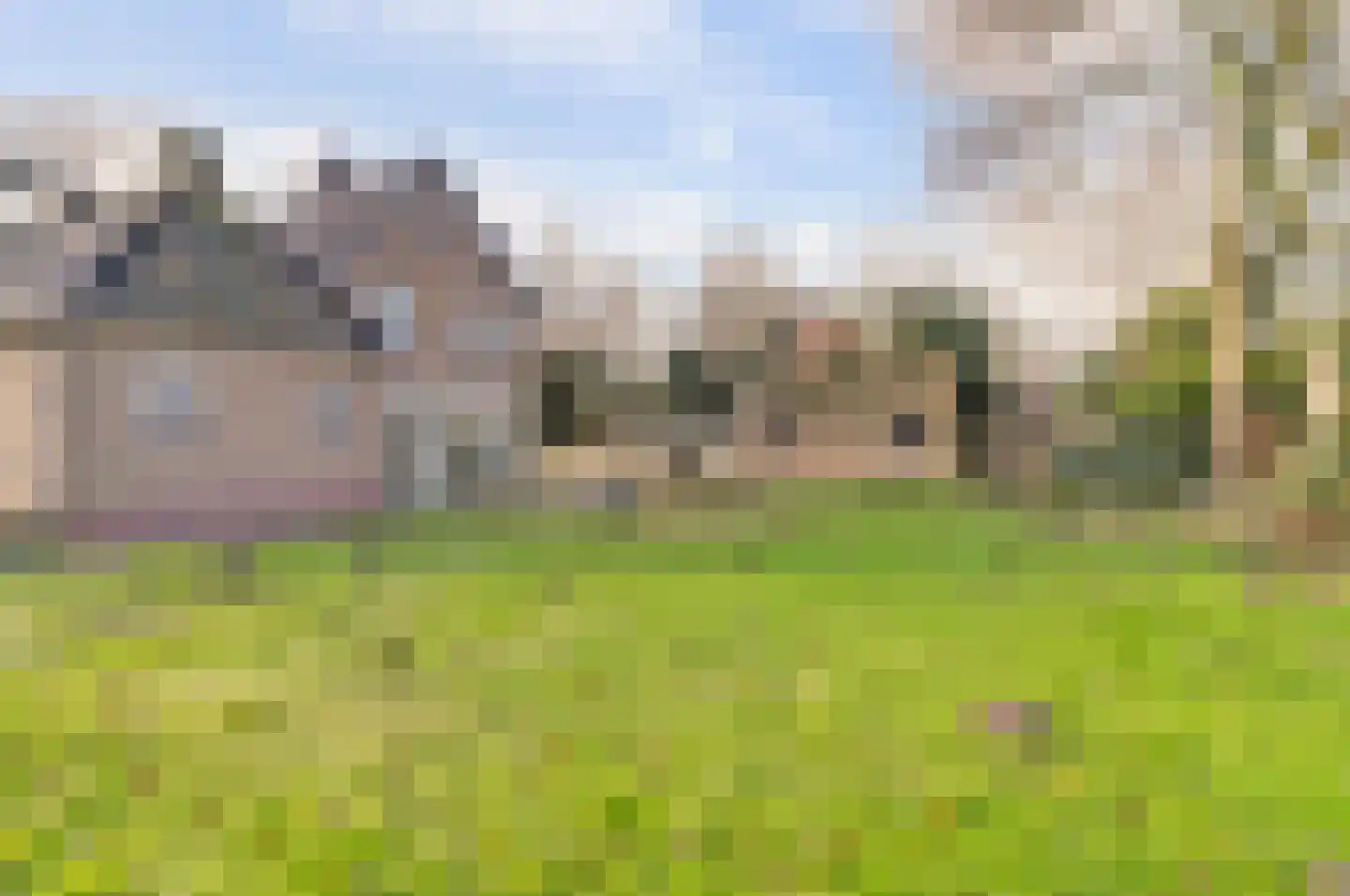 Nijhoven 3 a Baarle-Nassau thumbnail 36
