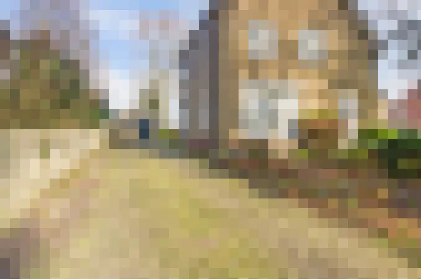 Nijhoven 3 a Baarle-Nassau thumbnail 41