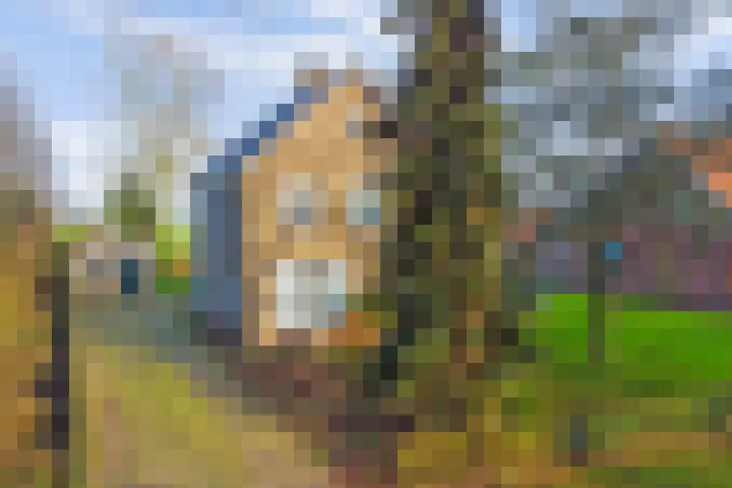 Nijhoven 3 a Baarle-Nassau thumbnail 42