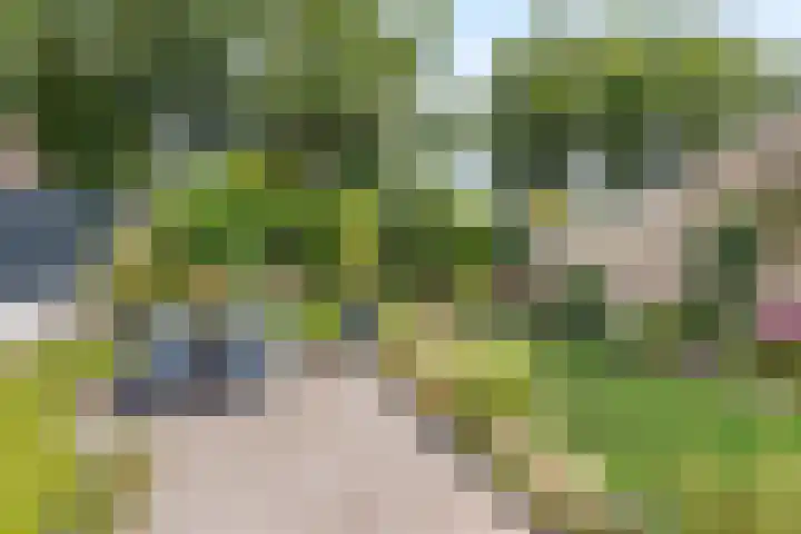 Nijhuiskamp 19 Oldenzaal thumbnail 19