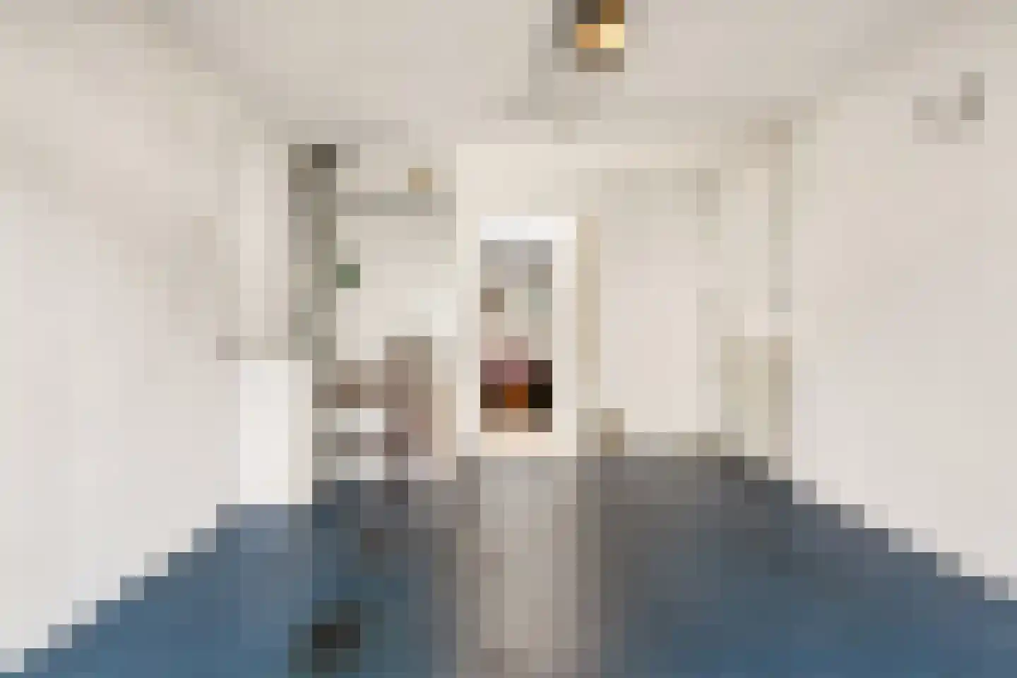 Nijhuiskamp 41 Oldenzaal thumbnail 33