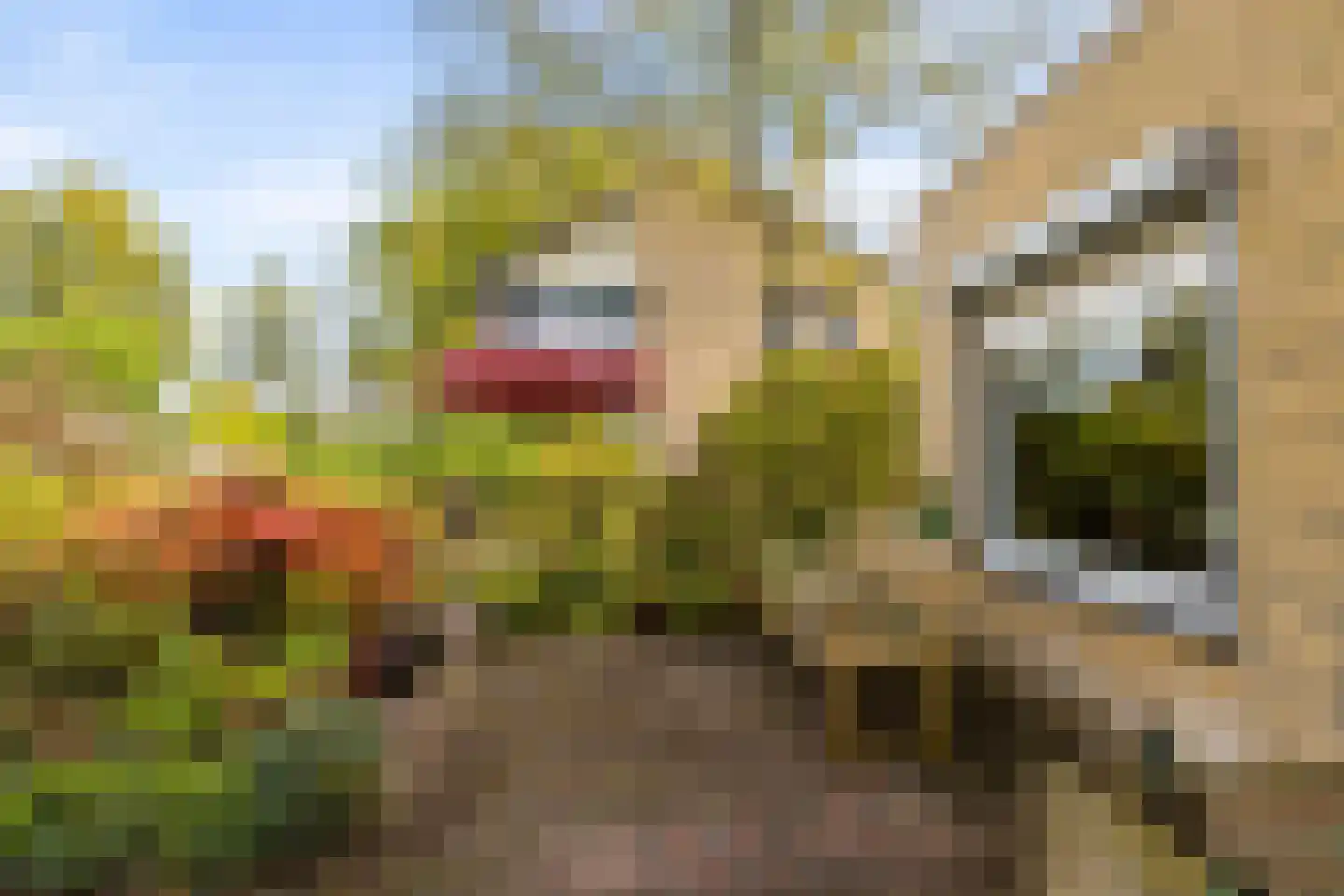 Nijhuiskamp 41 Oldenzaal thumbnail 41