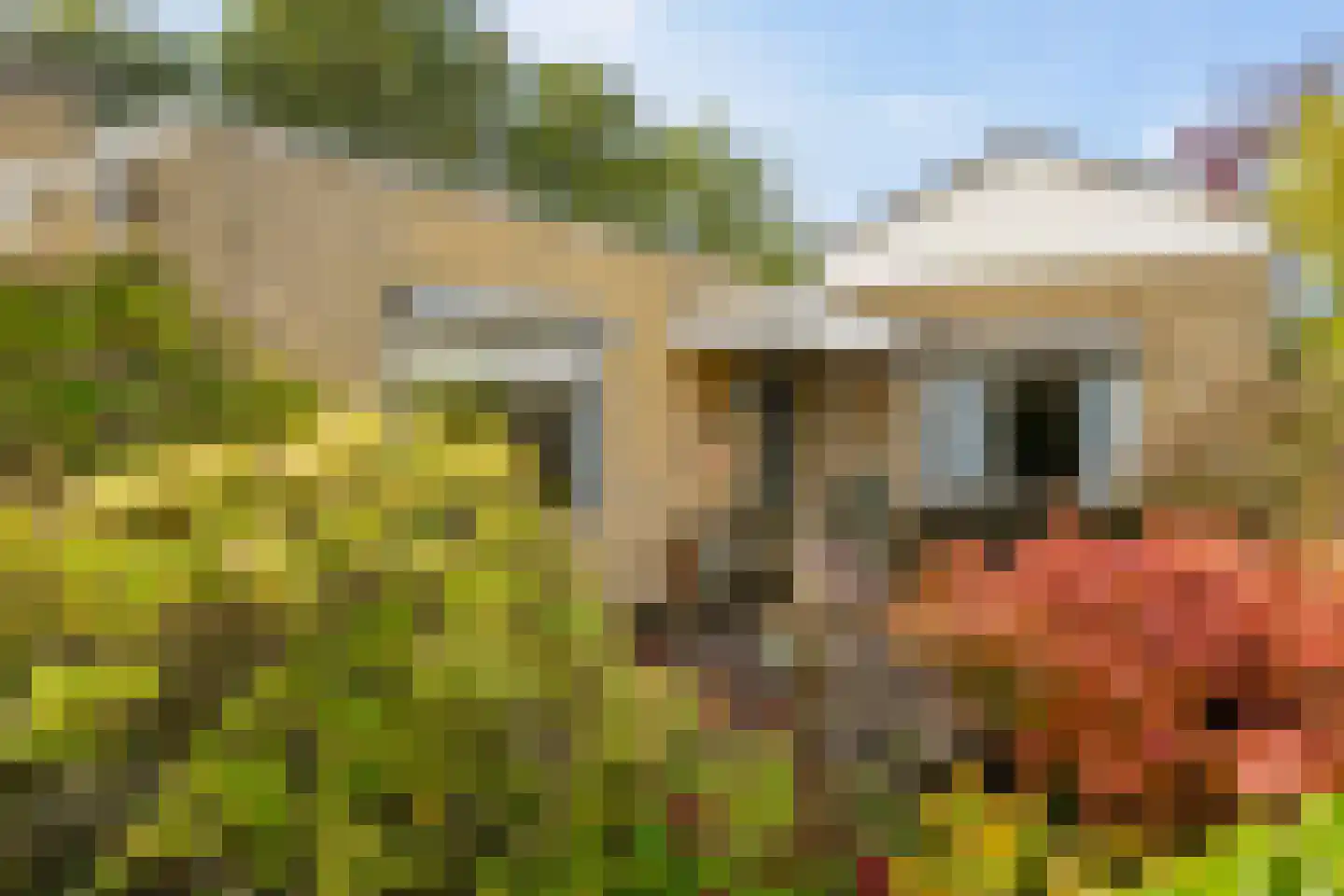 Nijhuiskamp 41 Oldenzaal thumbnail 5