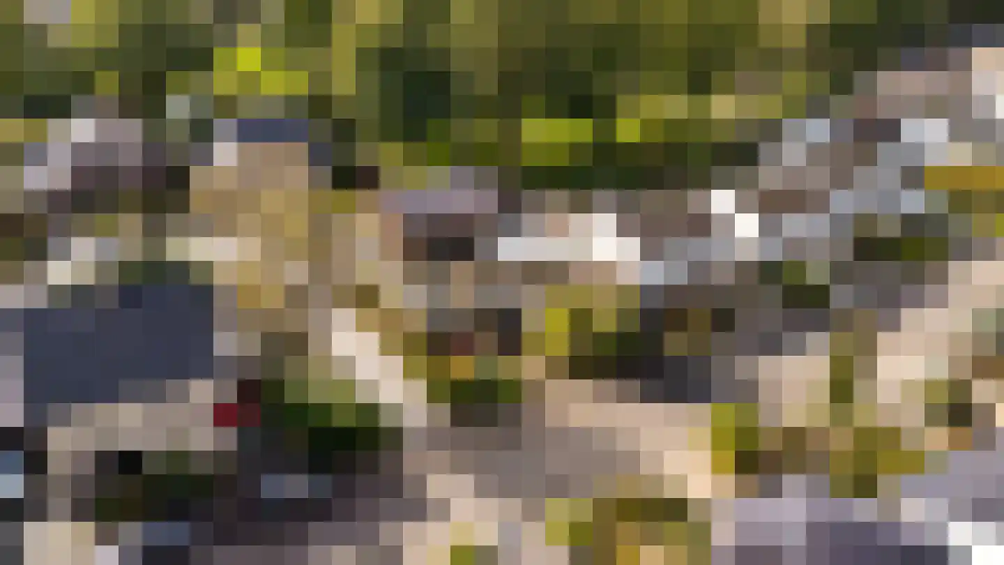 Nijhuiskamp 41 Oldenzaal thumbnail 51