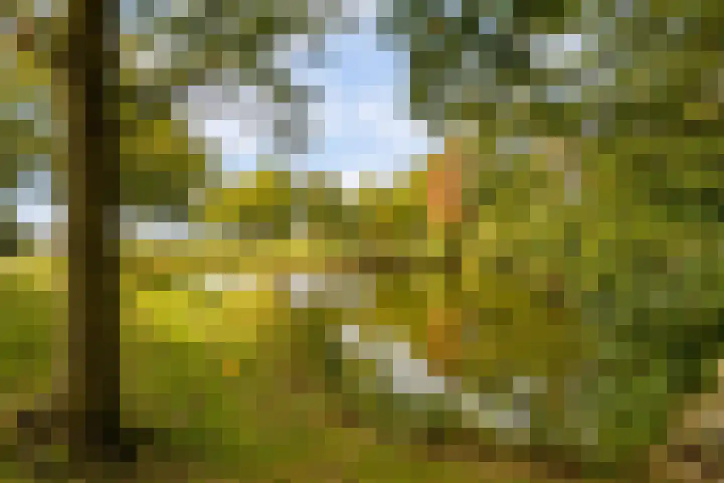Nijhuiskamp 41 Oldenzaal thumbnail 61