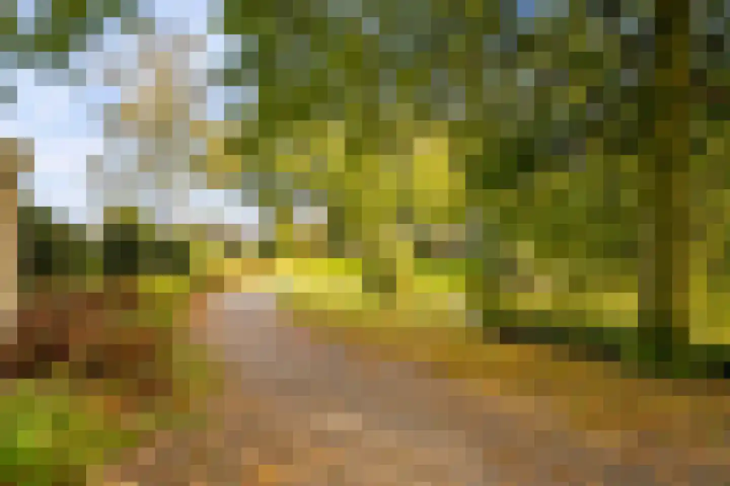 Nijhuiskamp 41 Oldenzaal thumbnail 62