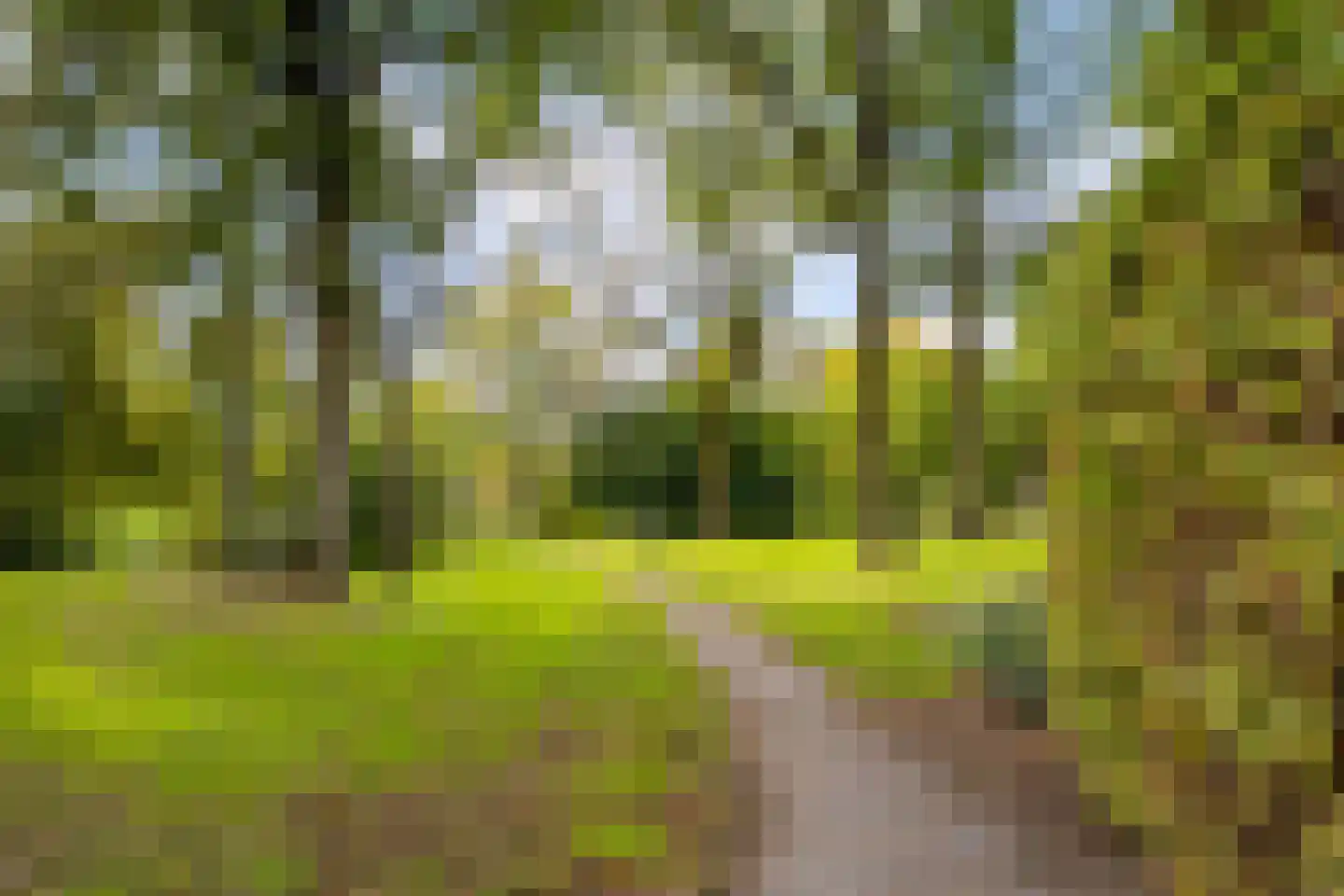 Nijhuiskamp 41 Oldenzaal thumbnail 64