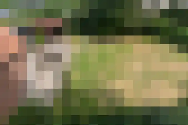 Nijkampenweg 1 Emmen thumbnail 20