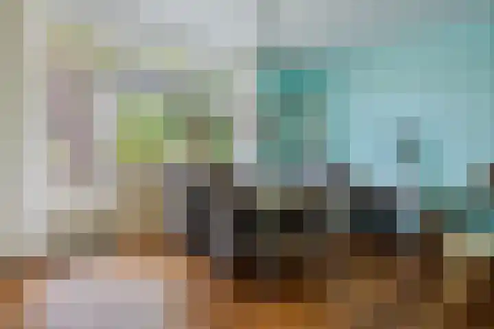 Nijkampenweg 100 Emmen thumbnail 13