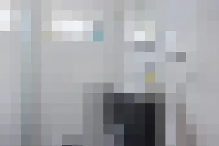 Nijkampenweg 100 Emmen thumbnail 25