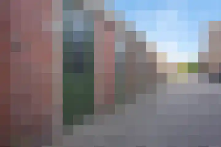Nijkampenweg 100 Emmen thumbnail 32