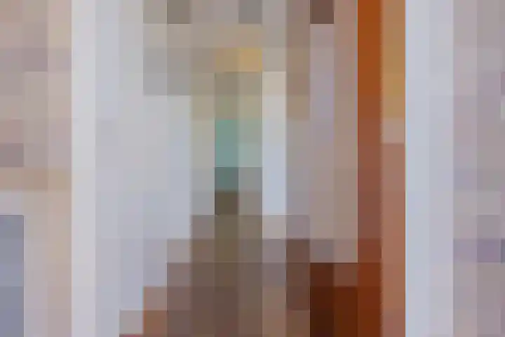 Nijkampenweg 100 Emmen thumbnail 5