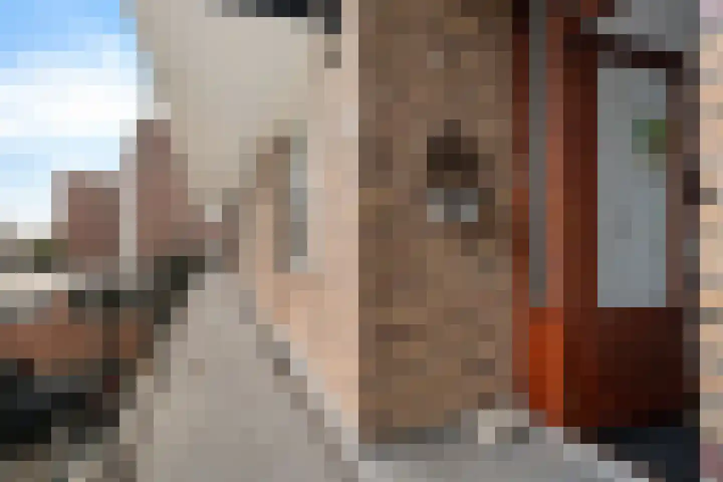 Nijkampenweg 102 Emmen thumbnail 7