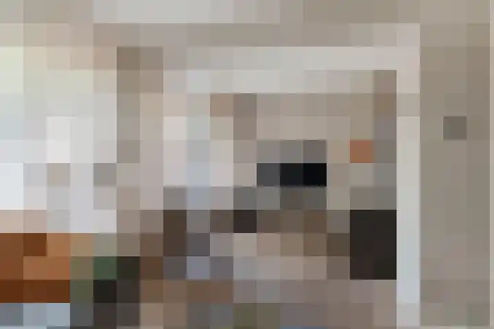 Nijkampenweg 176 Emmen thumbnail 10