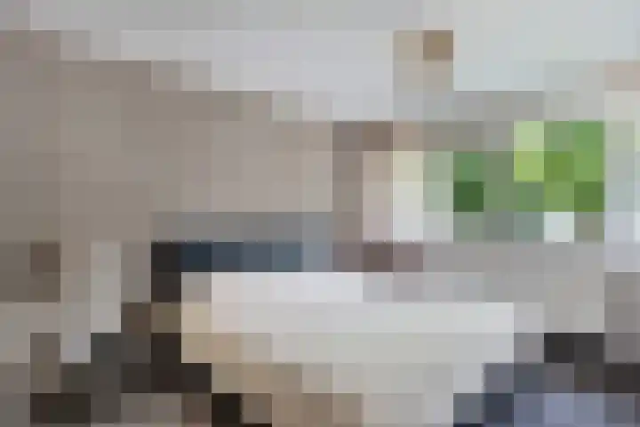 Nijkampenweg 176 Emmen thumbnail 35