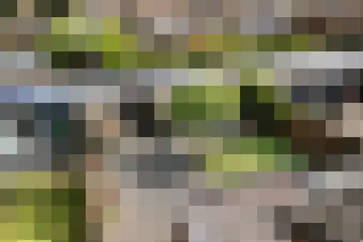 Nijkampenweg 176 Emmen thumbnail 44