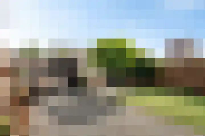 Nijkampenweg 176 Emmen thumbnail 46